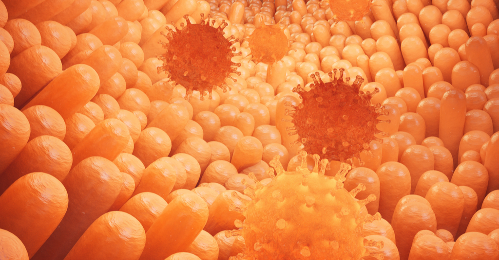 the gut microbiome links stress to sickle cell crisis